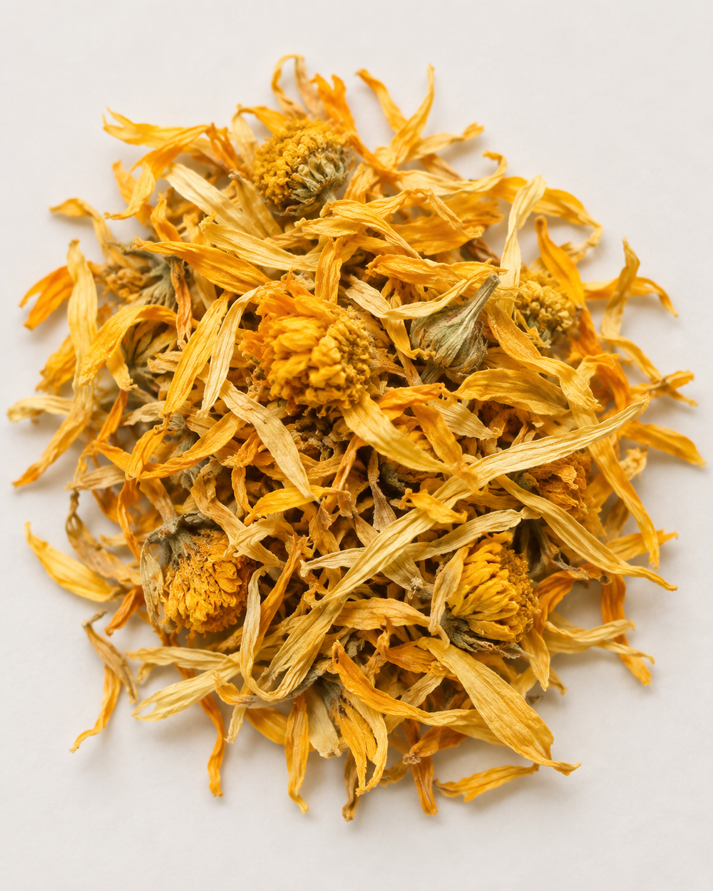 Calendula